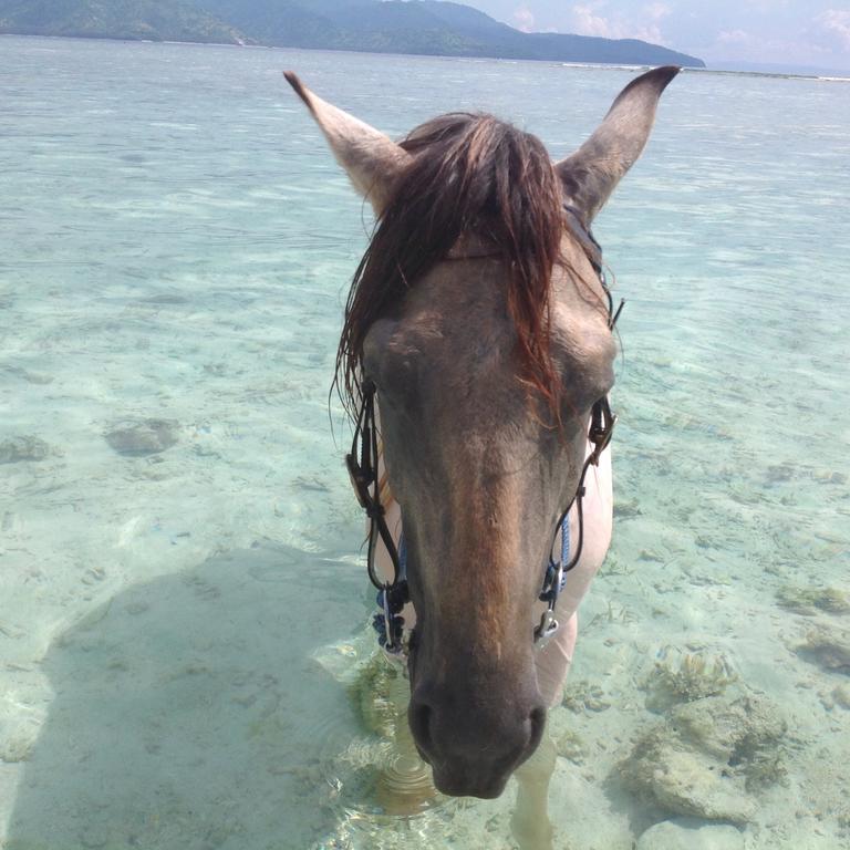 Готель Gili T Sugar Shack Гілі-Траванган Екстер'єр фото